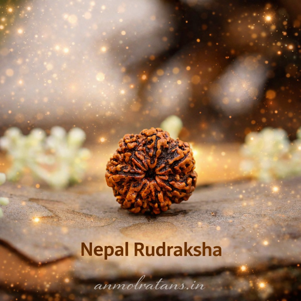 Buy Nepal Rudraksha online | anmolratans.in