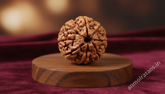 Original Nepali Rudraksha 1 to 12 Mukhi (Certified & Natural) – Powerful Beads for Health, Wealth & Protection